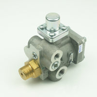 AVM305520